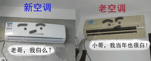 金狮贵宾会·宾至如归-尊贵显赫